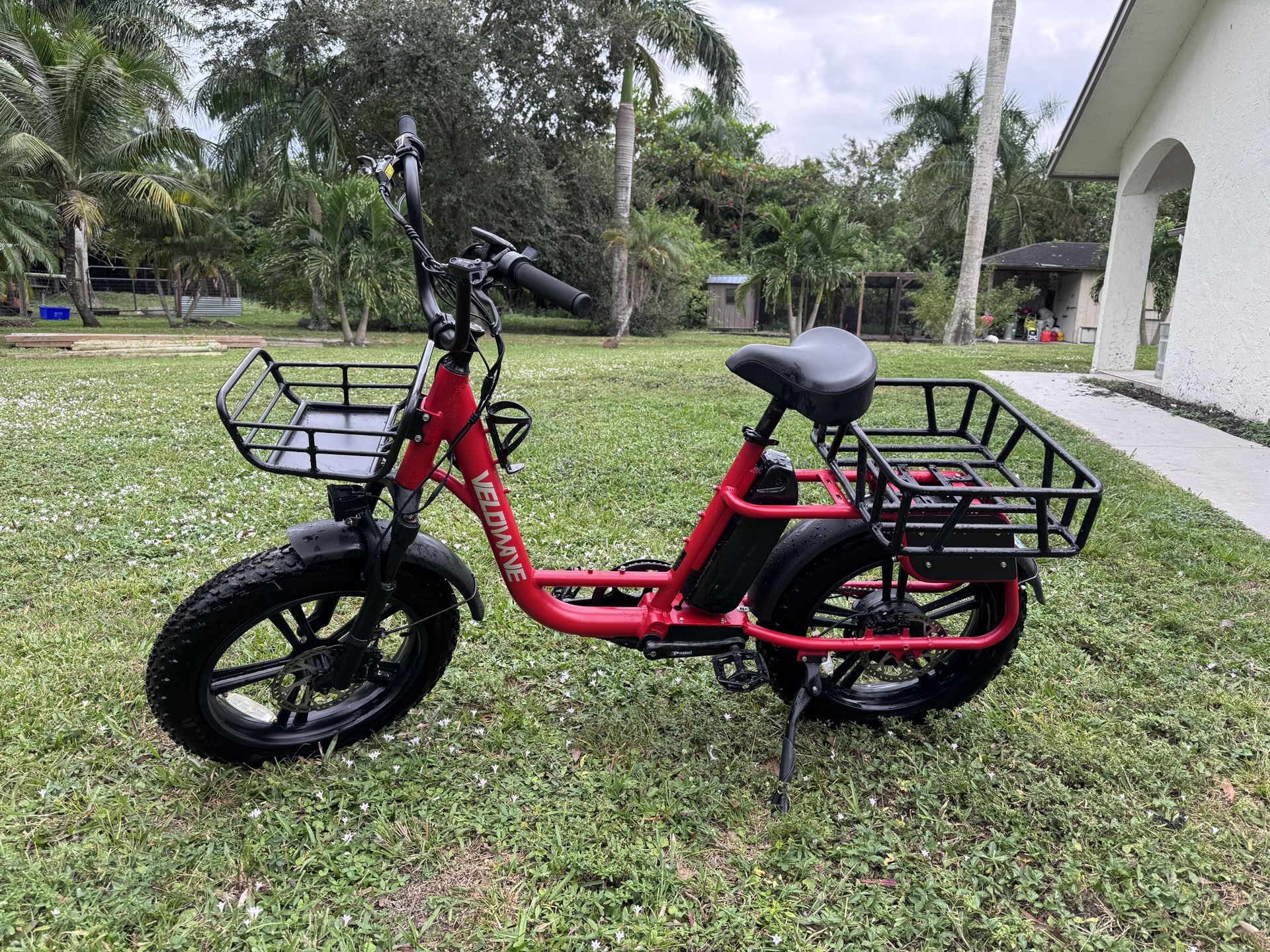 Cargo E Bike Fat Tires 