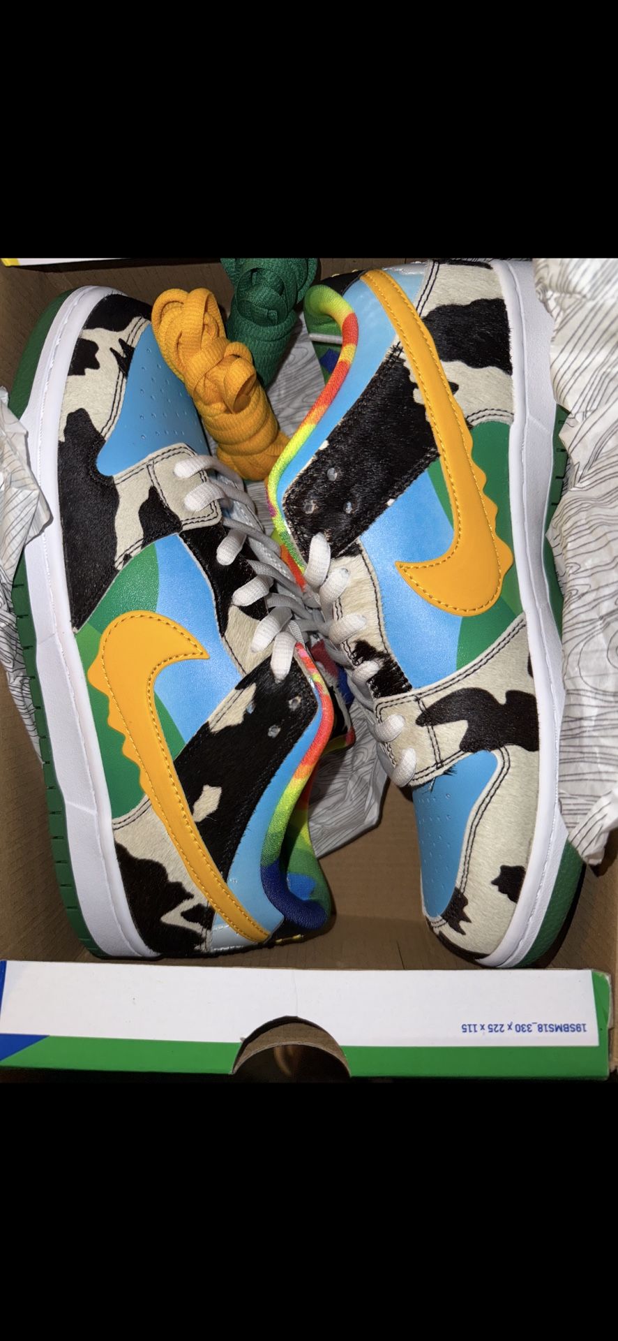NIKE SB DUNK LOW BEN & JERRY CHUNKY DUNKY (size 10)