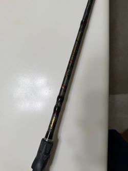 Berkley lighting baitcaster rod