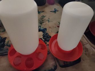Feeder and water for birds