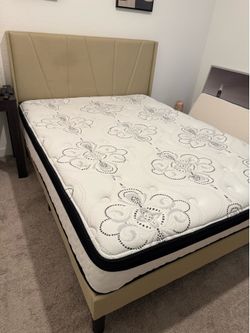Queen Bed Frame + Pillow Top Mattress – Excellent Condition