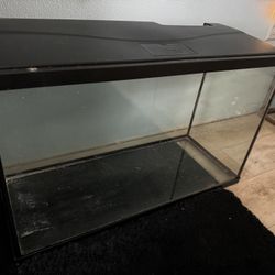 Fish Tank