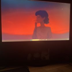 Ben Q Gaming Monitor 