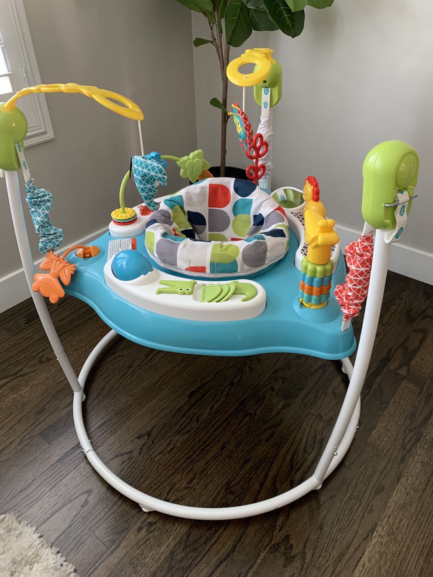 Fisher Price Jumperoo ~ Baby Jumper