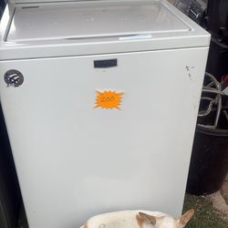 Bonita Labadora Tina grande con Garantía de 3 meses