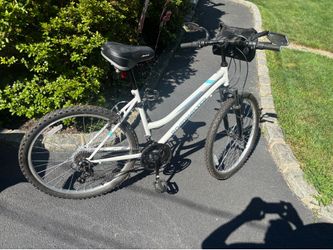 Roadmaster bike