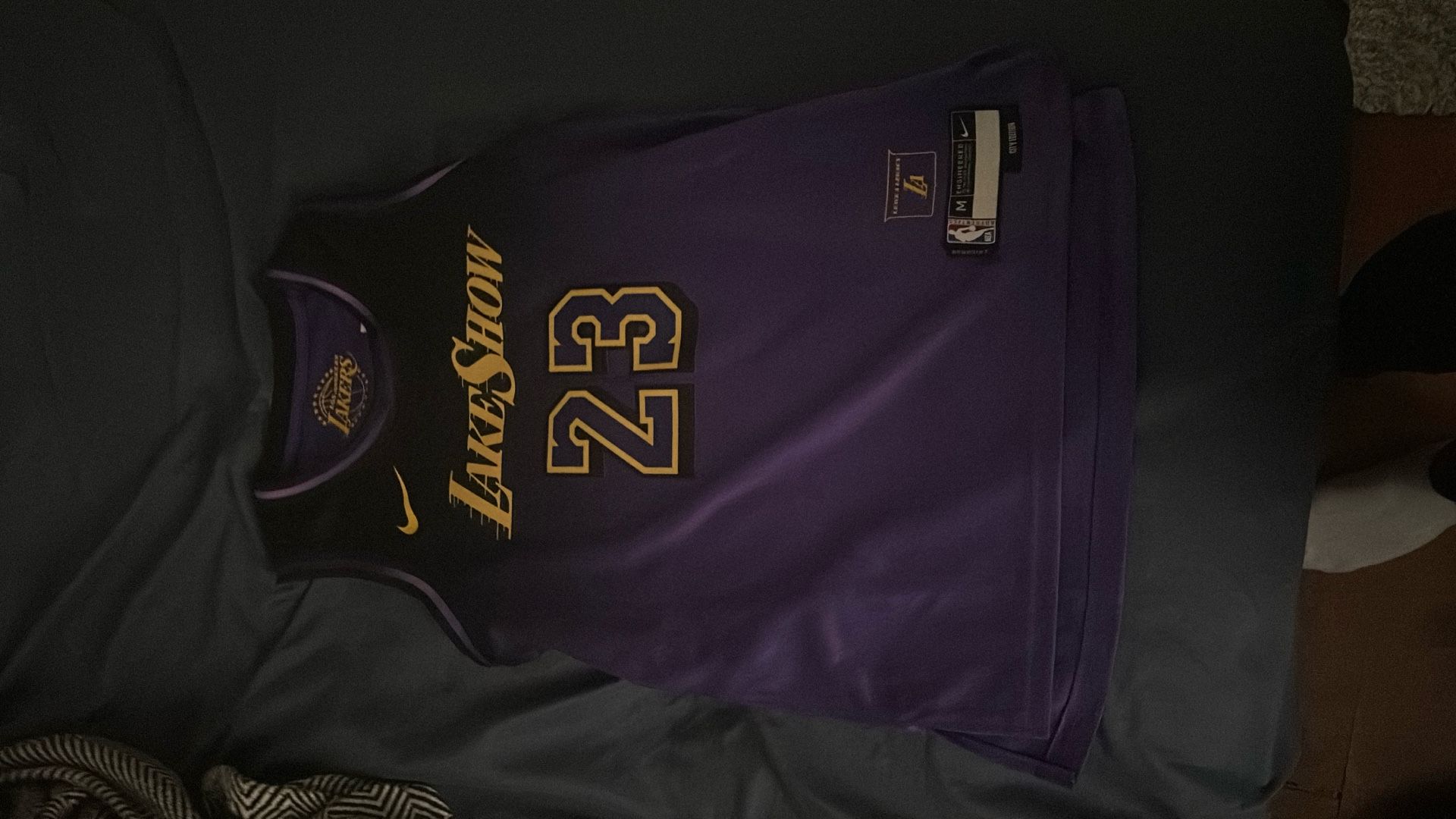 LeBron Lakeshow Jersey