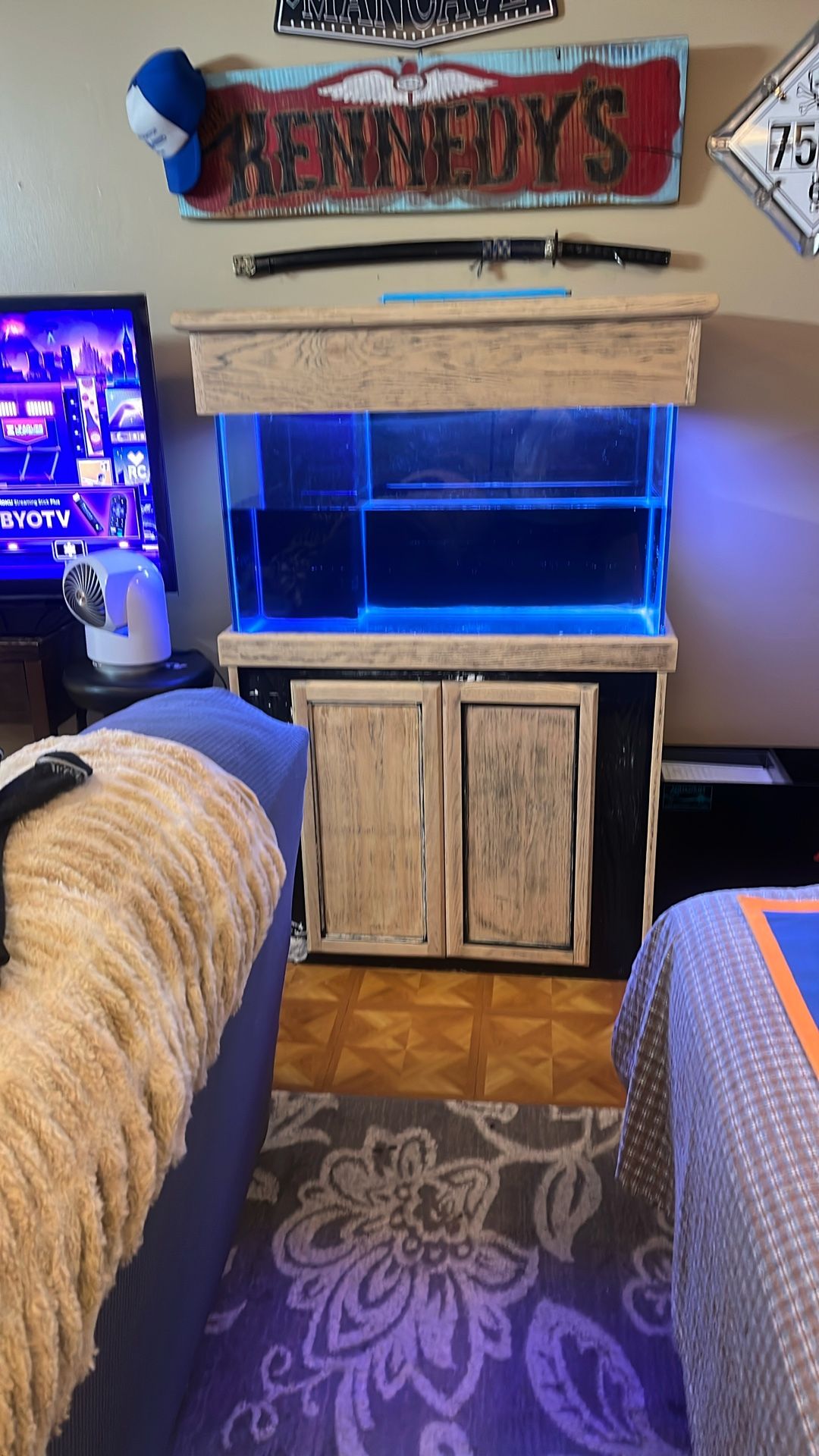 Saltwater Tank