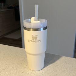 New Cream Stanley Cup - iced and hot