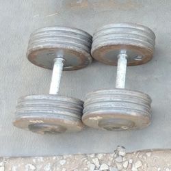Dumbbells 2x85lbs