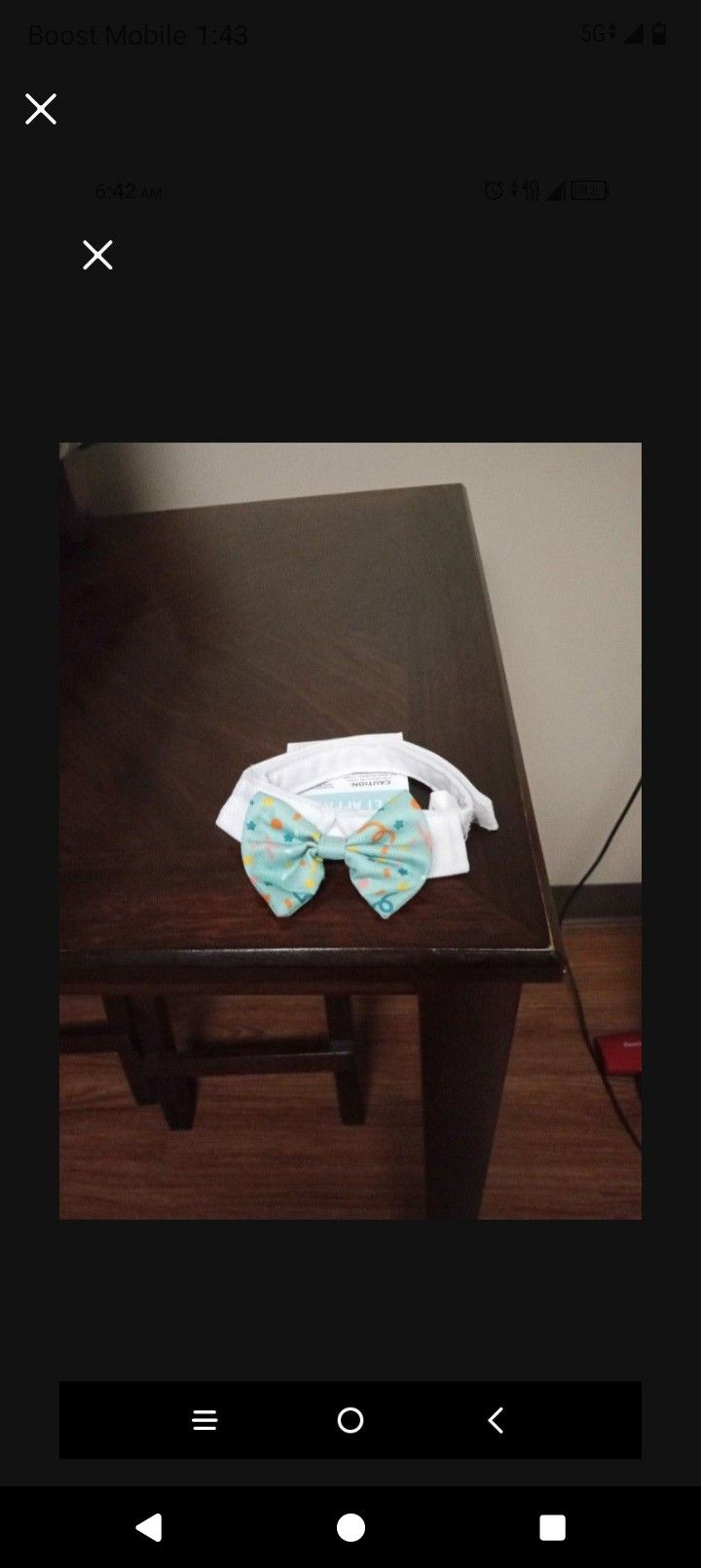 Frisco Bow Tie for Dogs or Cats New