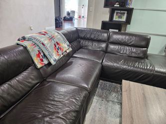 Sectional Leather Couch