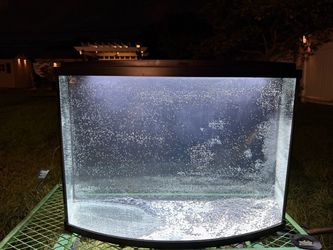 36 Gallon bowfront fishtank with hood and light