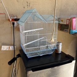 Bird Cage