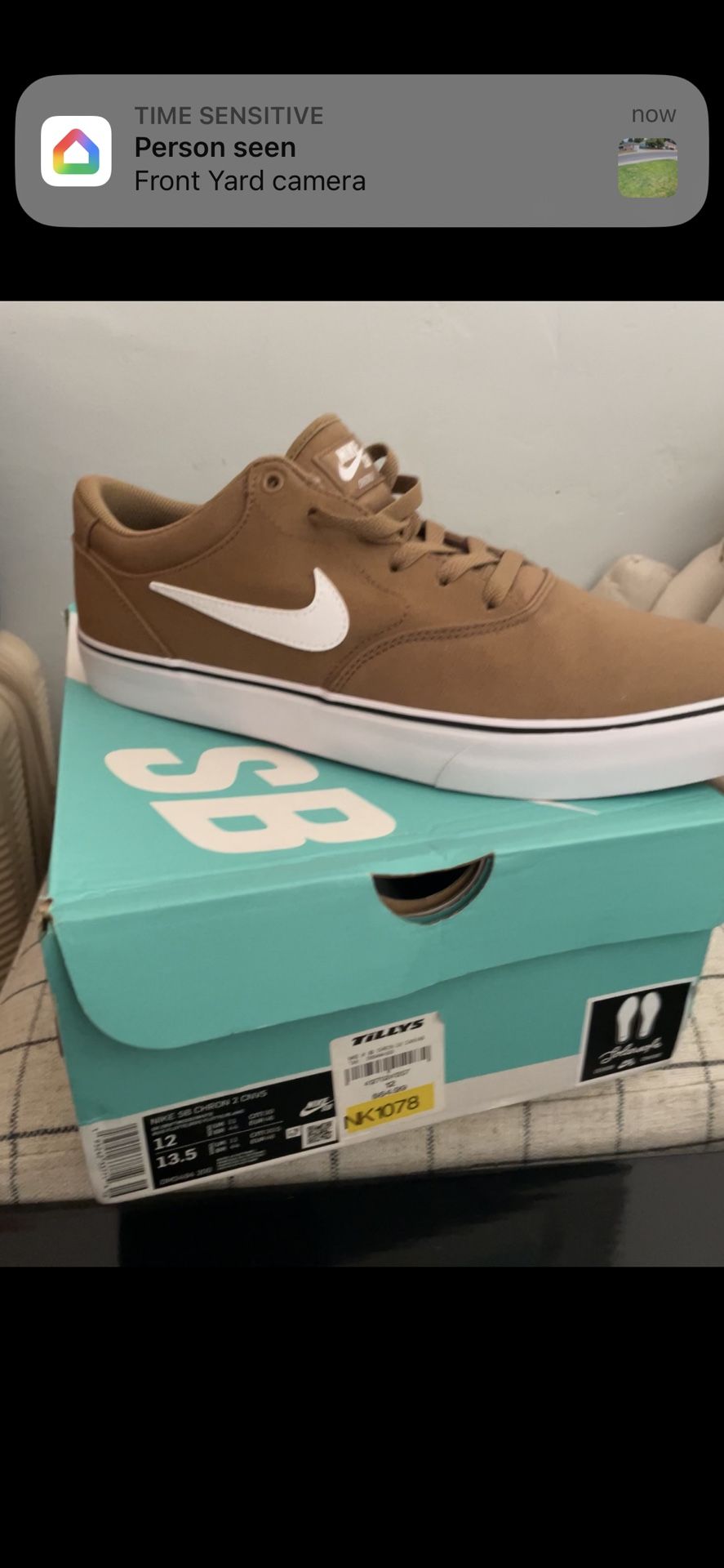 Nike SB