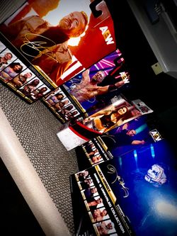 Hardys, Edge (Copeland) & Christian Cage AEW Unrivaled Action Figure Lot w/ Elite Lita Royal Rumble Elite Series