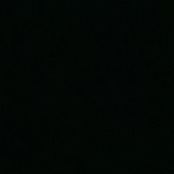 Who Can Take Care Of Cane Corso Pit Mix Food Provided For The Time Taken Care Of Having Home Issues 