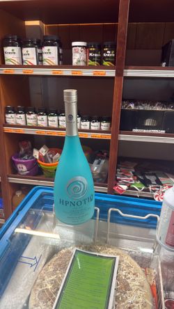 Hpnotiq Display Dummy