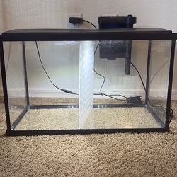 10 Gallon Tank, lights, filter, divider