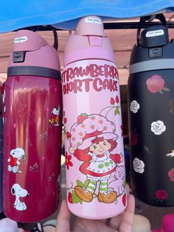 Strawberry Shortcake Owala 32oz bottle