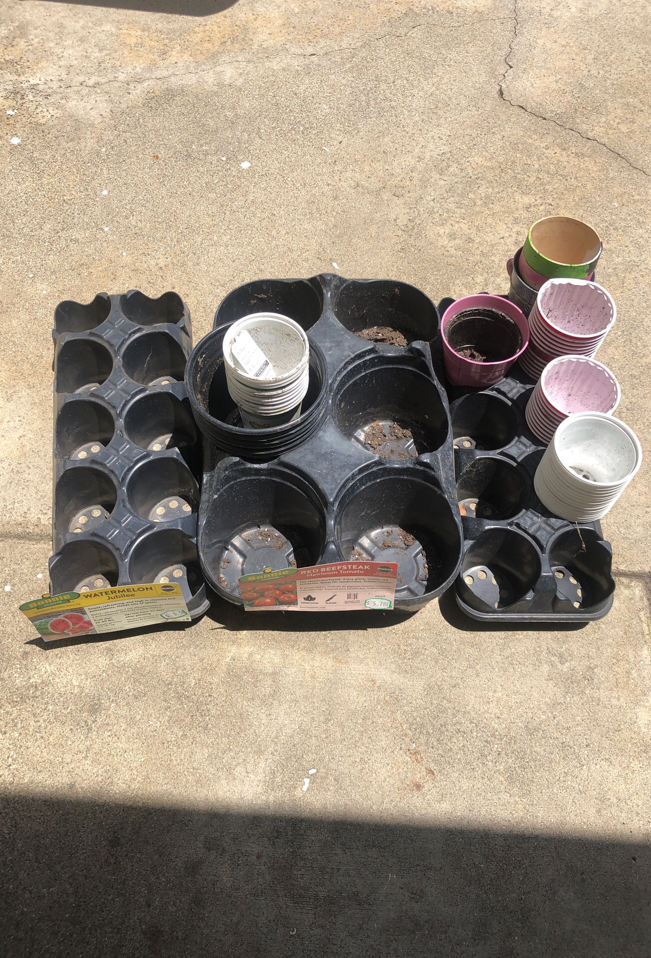 Free Pots and trays