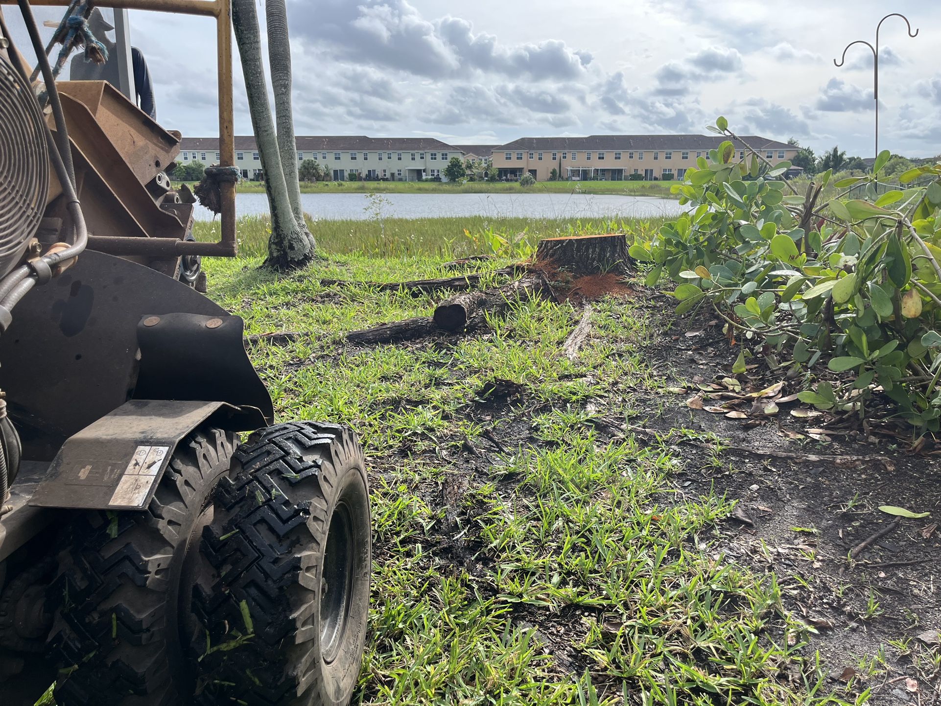 Stump Grinding