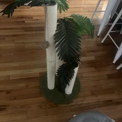 Cat Scratch Post 