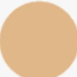 5 Gallion  Paint  Light Beige In Good Condition $40.00 Nothing Lower 