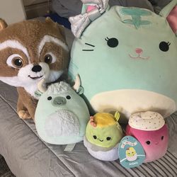 Great Deal 5 Perf Condition Squishmallows Get All