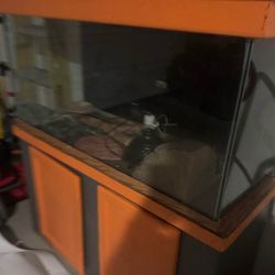 Lizard tank 70 gal