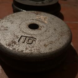 Weights And Weight Tree Stand