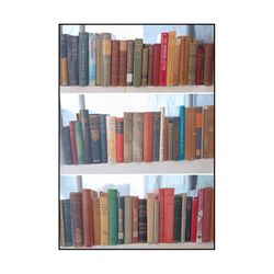 Antiquarian & Vintage Book Reseller Lot – 600+ Books, Firsts & Signed, Foreign Languages