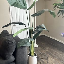Faux Plant