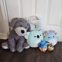 Stuffed Animals ( Soft Teddy's)