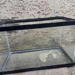 10 Gallon Tank 