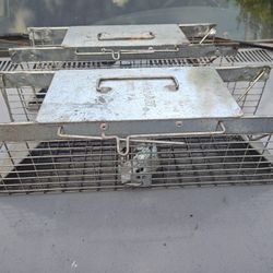 Critter Traps