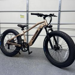 Leoguar Fastron SO 1000W 48V Electric All terrain e-Bike