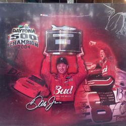 Earnhardt Jr Metal Collectors Sign 