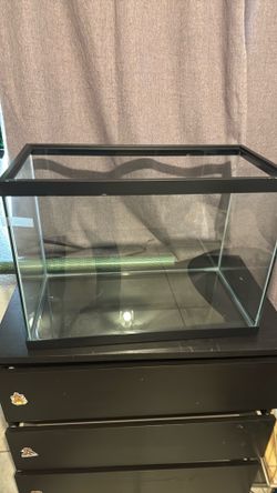 2 20 gallons tank