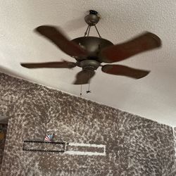 Ceiling Fan