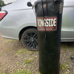 Punching Bag 