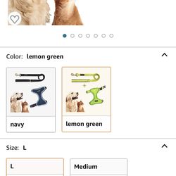 Harness With Leash