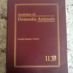 📙 Anatomy of Domestic Animals: Systemic and Regional Approach - NEW