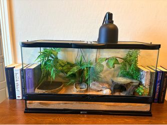 Zoo Med Double Door Glass Reptile Enclosure - 36"L x 18"W x 12"H Bundle