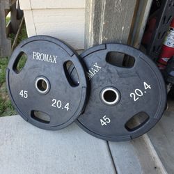 Weight Plates (Pair Of 45 Pounds)