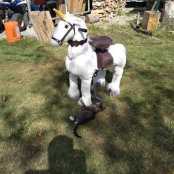 Kids Horse On Wheels