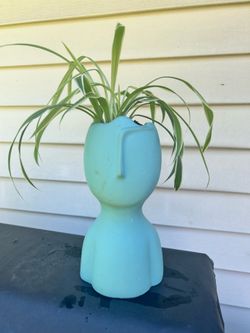 Plants and Plant Stand