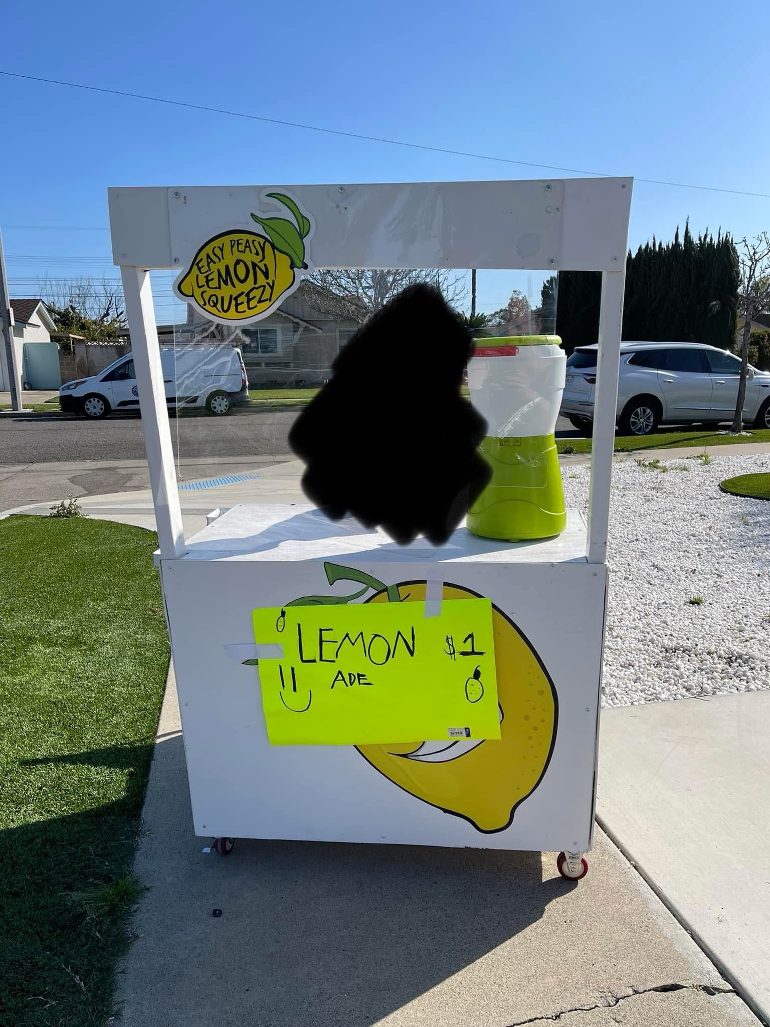 Lemonade Stand