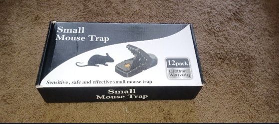 Small Mouse Trap