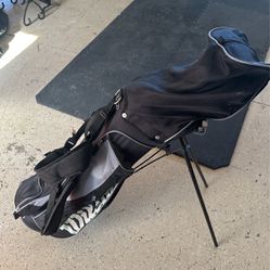 Wilson Titanium Matrix profile Junior Golf Clubs and Bag
